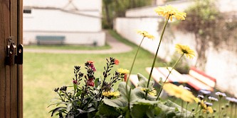 Blick in den Garten
